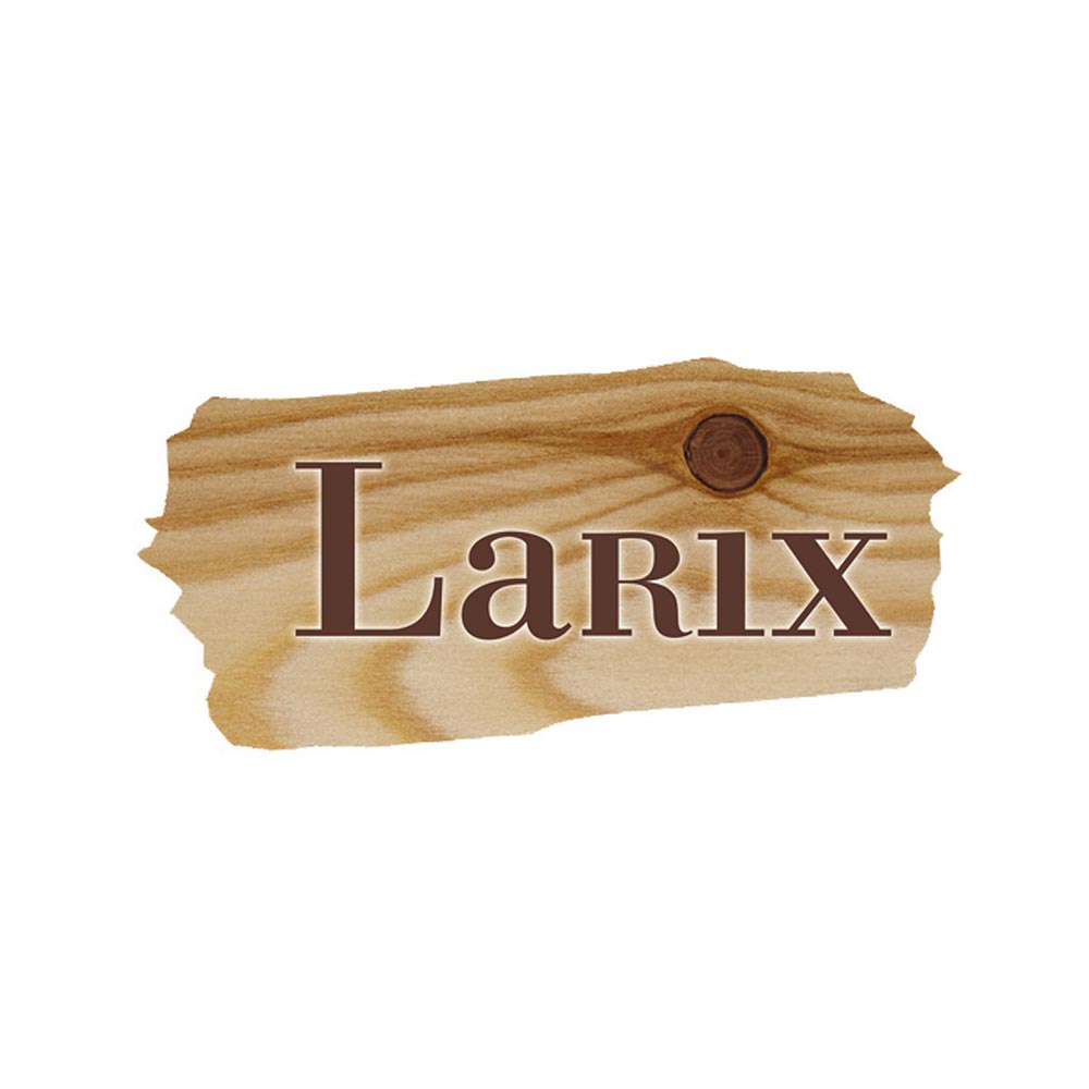 Grafische Gestaltung Logo Firma Larix, Hersteller Holzböden in Lärche und Zirbe aus dem Tapferer Ahrntal